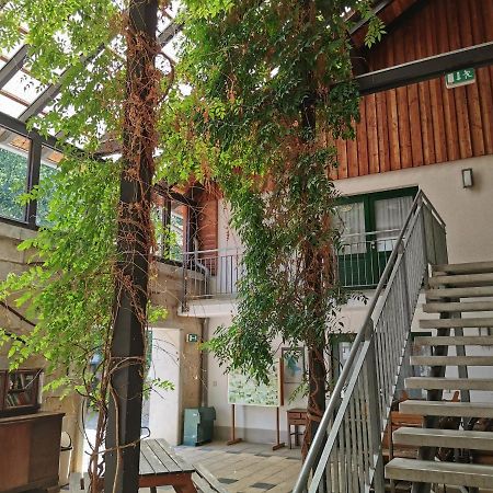 Landhotel Schaferhof Langenstein Kültér fotó